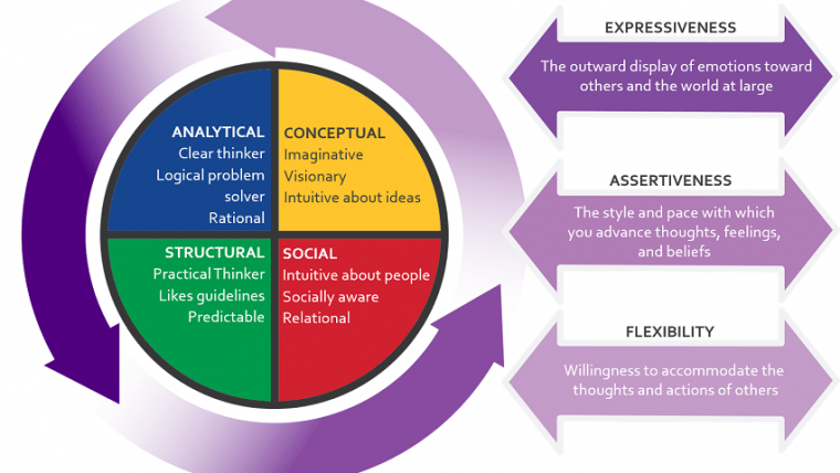 Emergenetics summary